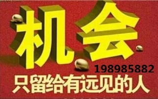 代理中的戰(zhàn)斗機(jī) hz代理小顏，助您領(lǐng)航商海新高度
