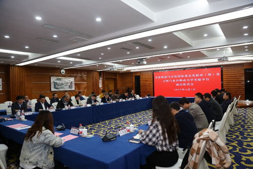 深耕“兩深一非”新領(lǐng)域 以信息技術(shù)咨詢服務(wù)強(qiáng)化國家能源安全的重科力量